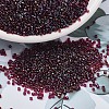 MIYUKI Delica Beads X-SEED-J020-DB1751-1