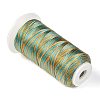 Segment Dyed Round Polyester Sewing Thread OCOR-Z001-A-11-2