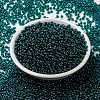 MIYUKI Round Rocailles Beads SEED-X0055-RR3744-2