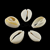 Natural Mixed Cowrie Shell Beads X-BSHE-S052-01-3