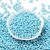 6/0 Glass Seed Beads X1-SEED-L011-08A-13-2