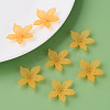 Transparent Acrylic Beads MACR-S373-127-D05-3