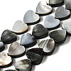 Natural Black Lip Shell Beads Strands BSHE-D300-06A-1
