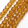 Glass Beads Strands LS-EGLA-J042-6mm-04-1