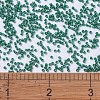 MIYUKI Delica Beads SEED-MY11-DB0656-4