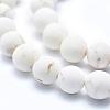Frosted Natural Magnesite Beads Strands TURQ-G148-10-10mm-3