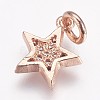 Brass Micro Pave Cubic Zirconia Charms LS-ZIRC-G087-35RG-2