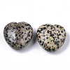Natural Dalmatian Jasper Healing Stones G-R418-26-2-2