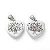 Non-Tarnish 304 Stainless Steel Pendants STAS-F253-04P-2
