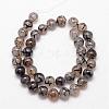 Natural Dragon Veins Agate Bead Strands G-K166-14-12mm-01-2