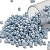 TOHO 6/0 Round Beads X-SEED-TR06-1205-1