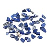 Natural Lapis Lazuli Beads X-G-I304-02-1