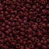 TOHO 6/0 Round Beads X-SEED-TR06-0046F-4