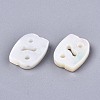 Natural White Shell Beads X-SSHEL-ZX004-02D-2