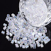 6/0 Two Cut Glass Seed Beads SEED-S033-13B-01-1