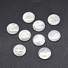 Shell Cabochons SSHEL-E568-B13-2