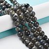 Natural Labradorite Beads Strands G-S333-8mm-035-2