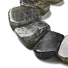 Natural Labradorite Beads Strands G-P528-K10-01-3
