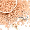 Baking Paint Glass Seed Beads SEED-L011-09A-12-1