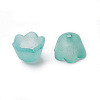 Transparent Acrylic Beads Caps X-PL543-11-2
