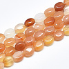 Natural Carnelian Beads Strands X-G-S357-B09-1