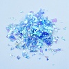 Plastic Candy Sequins/Paillette Chip DIY-I019-02A-2