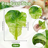 PVC Lettuce Leaf Display Decorations DJEW-WH0042-134-2