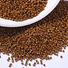 MIYUKI Delica Beads X-SEED-J020-DB2109-1