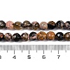 Natural Fire Crackle Agate Beads Strands G-C082-A01-45-5