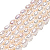 Natural Cultured Freshwater Pearl Beads Strands PEAR-N012-04G-4
