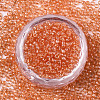 Glass Seed Beads X-SEED-S042-11A-03-2
