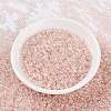 MIYUKI Round Rocailles Beads SEED-G008-RR0365-2