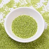 MIYUKI Delica Beads X-SEED-J020-DB0147-2