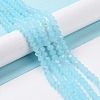 Electroplate Glass Beads Strands EGLA-A034-J10mm-L06-4