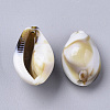 Acrylic Beads OACR-N130-015-2