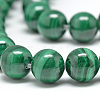 Natural Malachite Beads Strands G-S264-21-10mm-3
