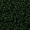 MIYUKI Round Rocailles Beads X-SEED-G008-RR0158F-3