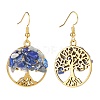 Natural Gemstone Chips Tree of Life Dangle Earrings EJEW-JE04934-4