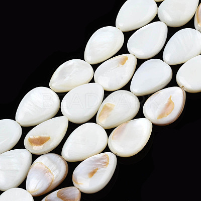 Natural White Shell Beads Strands PBB263Y-1-1