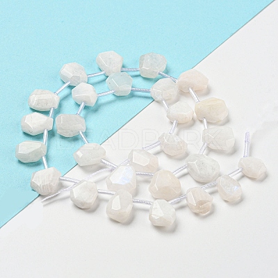 Natural Rainbow Moonstone Beads Strands G-Z040-A06-01-1