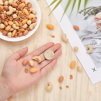 150G 5 Style Opaque Resin Imitation Nuts Ornaments RESI-CA0001-43-1