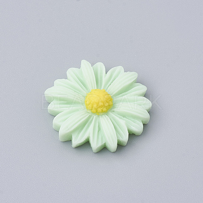 Resin Cabochons CRES-N007-10K-1