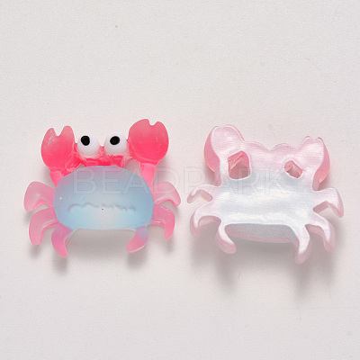 Translucent Frosted Resin Cabochons CRES-N022-12-1