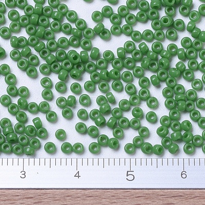 MIYUKI Round Rocailles Beads SEED-G007-RR0411-1