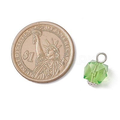 Transparent Acrylic Pendants PALLOY-JF04258-02-1