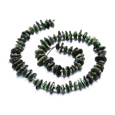 Natural Seraphinite Beads Strands G-E569-K02-1