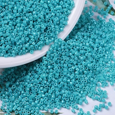 MIYUKI Delica Beads X-SEED-J020-DB0658-1