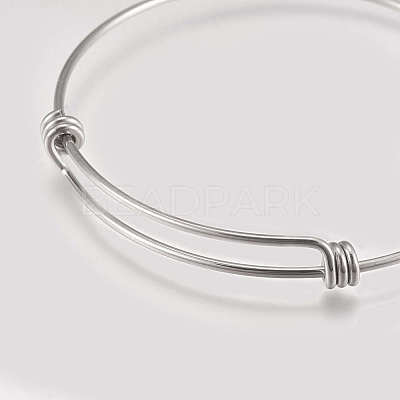 Tarnish Resistant 304 Stainless Steel Expandable Bangles LS-STAS-K182-20P-1