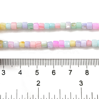 Rainbow Color Dyed Natural Freshwater Shell Beads Strands SHEL-G018-02D-1