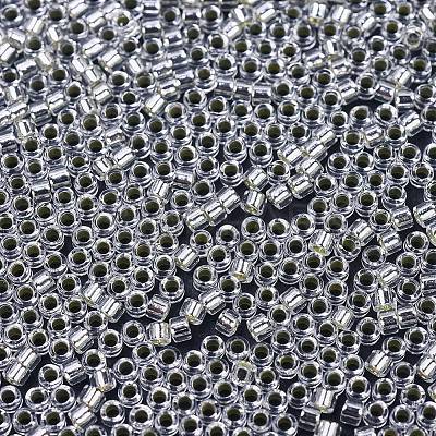 MIYUKI Delica Beads SEED-MY11-DB0041-1